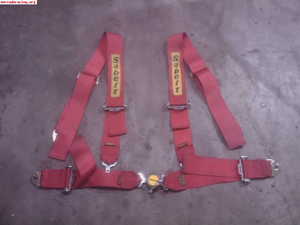 Arneses 3  y 4 puntos