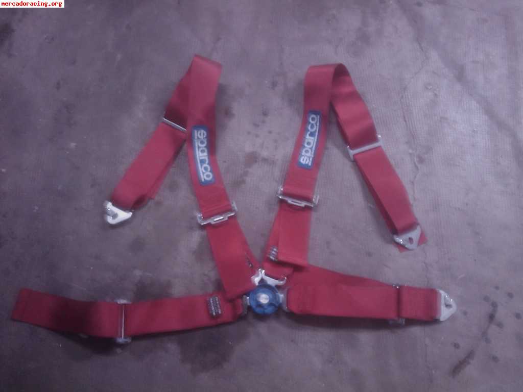 Arneses 3  y 4 puntos