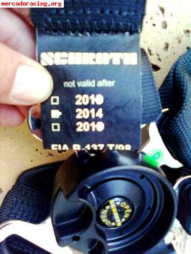 Vendo 1 arnes schroth profi ii 6h, para hans