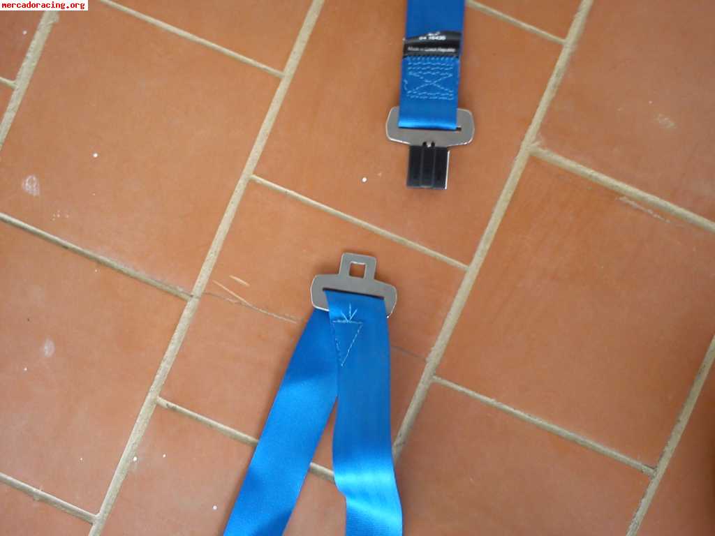 Juego de 2 arneses sparco azules 3 puntos