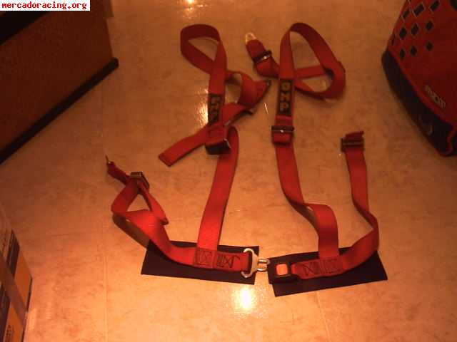 Arnés omp 2" 4 puntos color rojo