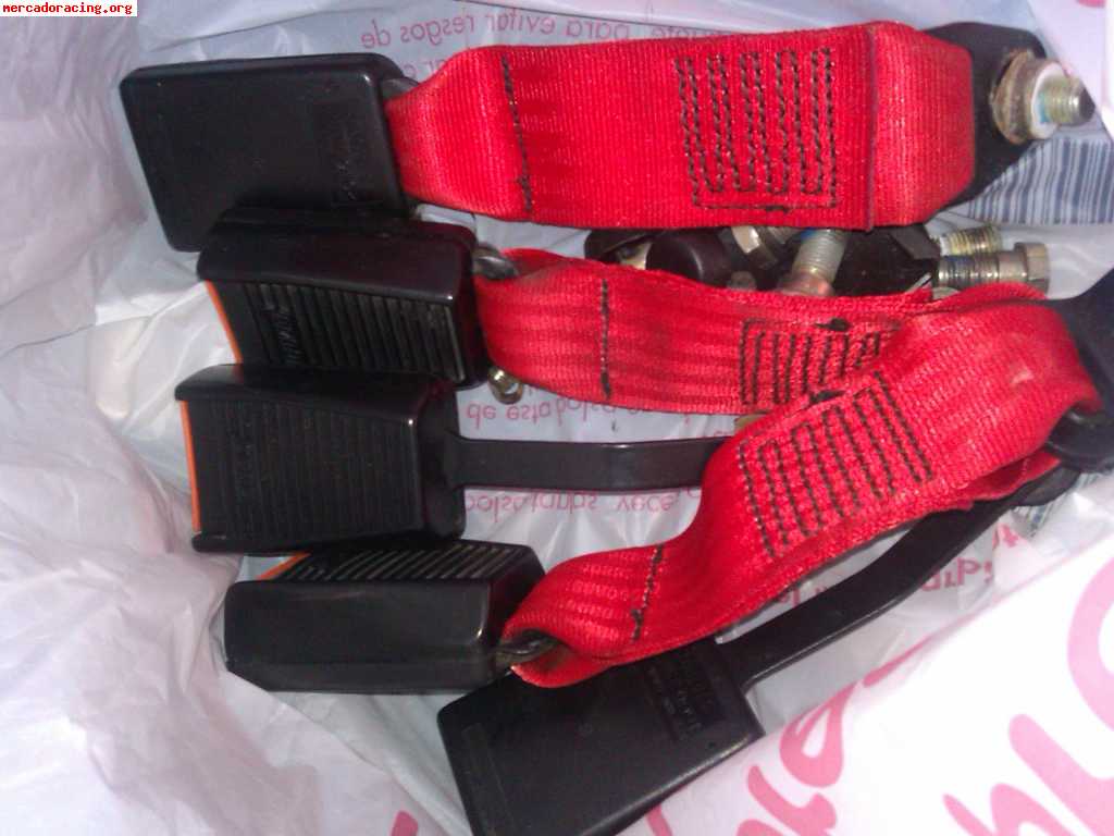 Cinturones rojos