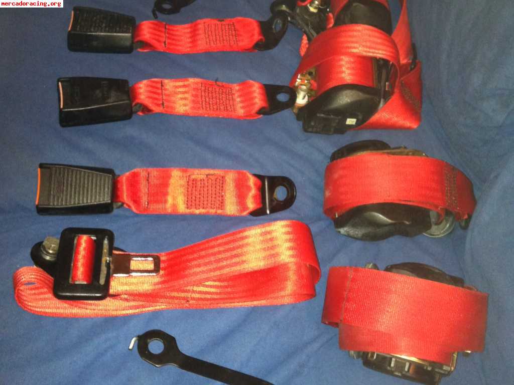 Se venden cinturones rojos cinquecento sporting