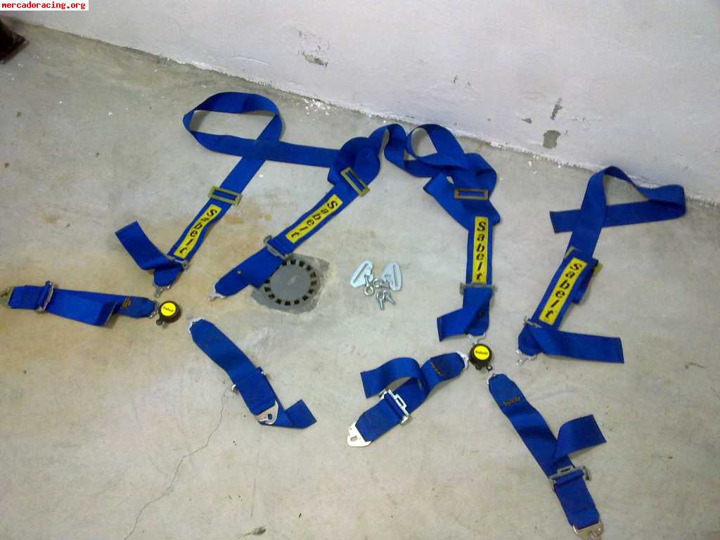 Arneses anchos sabelt 4 puntos