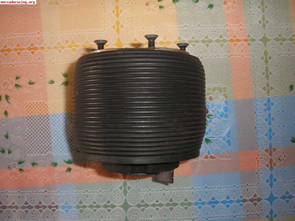Piña de citroen zx