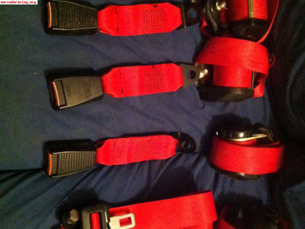 Cinturones rojos cinquecento sporting----impecables