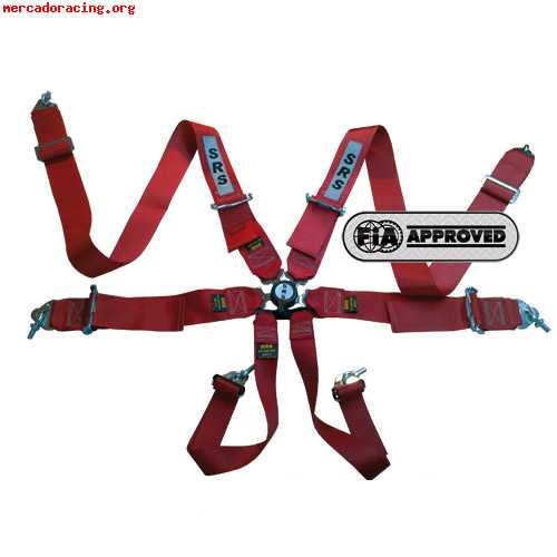 Arnes sabelt  srs  6 puntos rojo