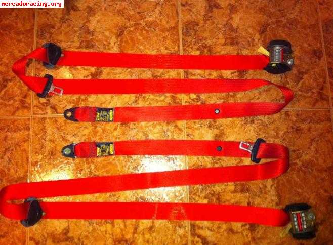 Cinturones rojos validos para r5 gt turbo