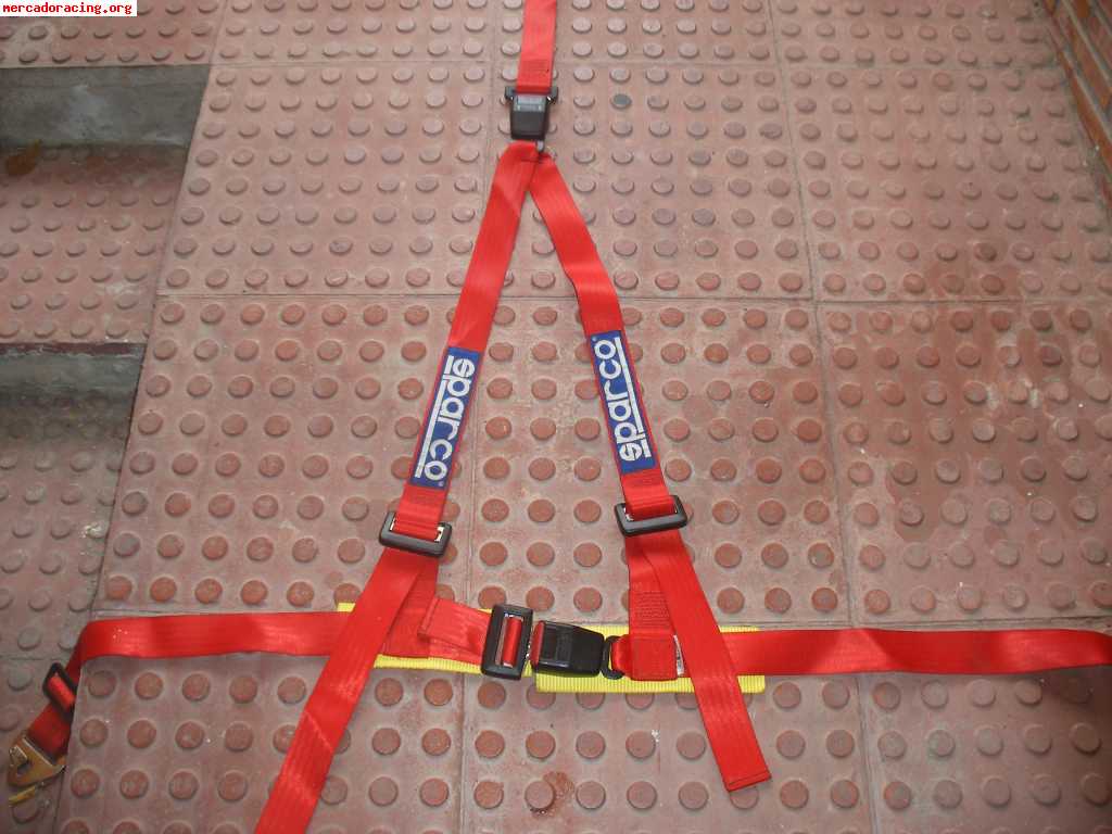 Arnes sparco de tres puntos