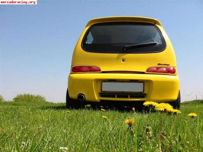 Cinturones rojos seicento sporting abarth