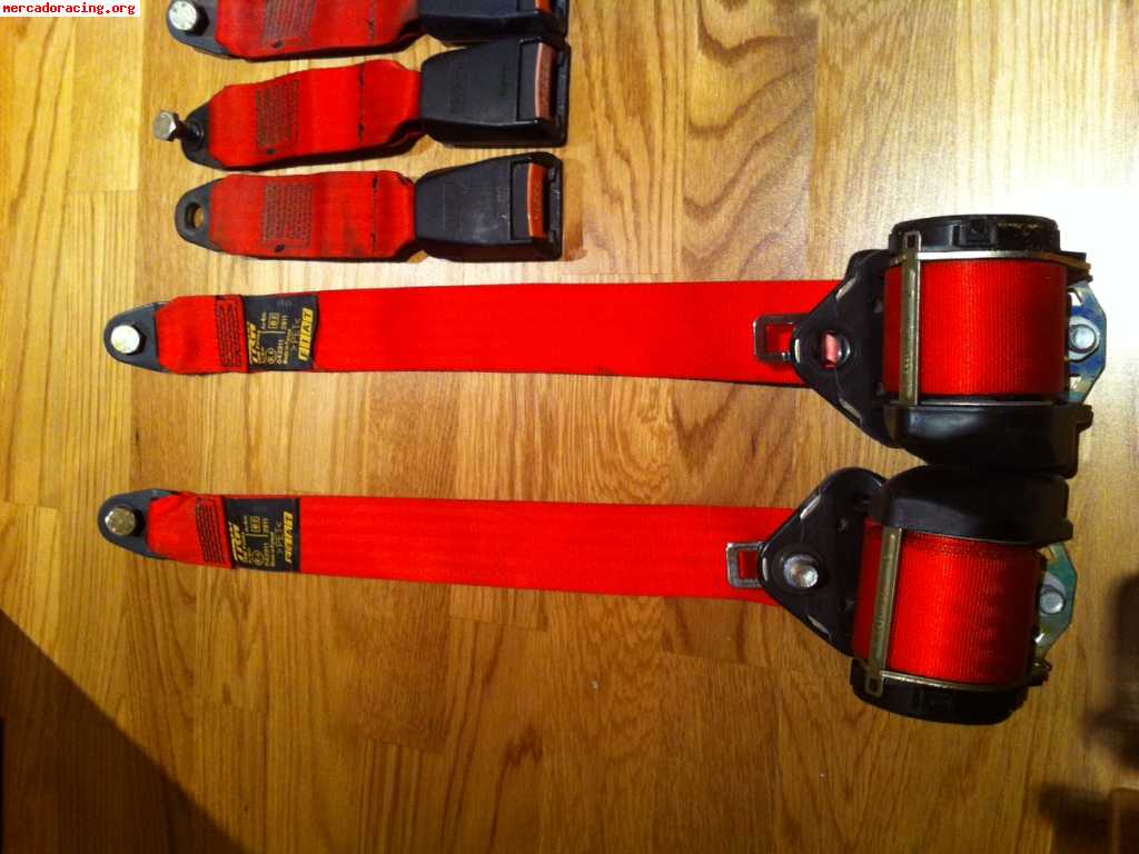 Cinturones rojos sporting 130€ juego completo