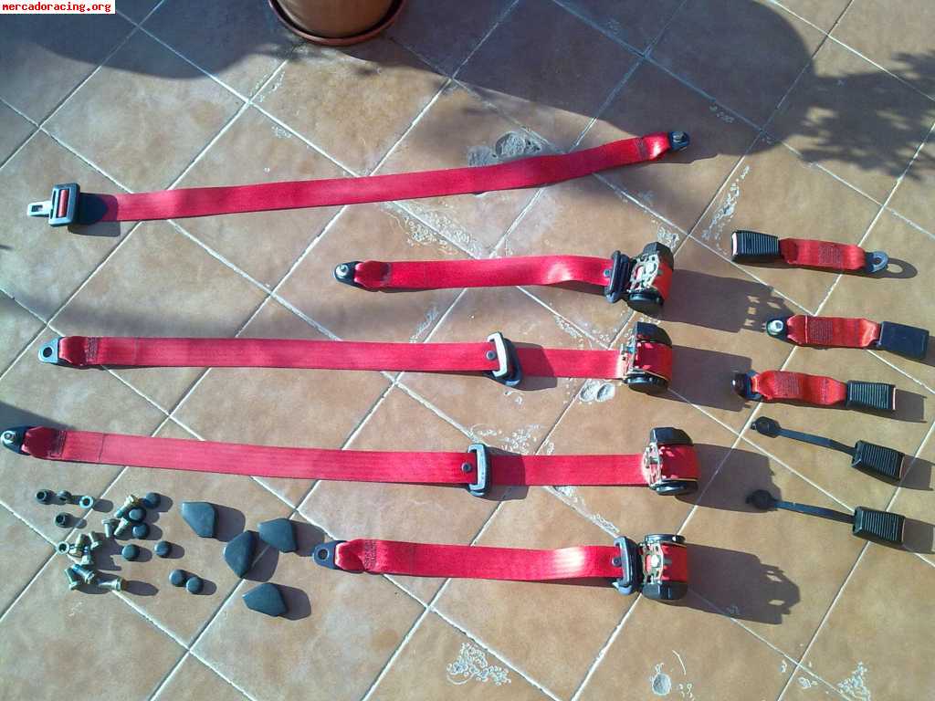 Cinturones rojos de fiat