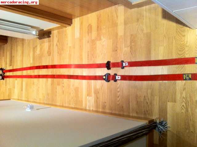 Cinturones rojos delanteros fiat 50€