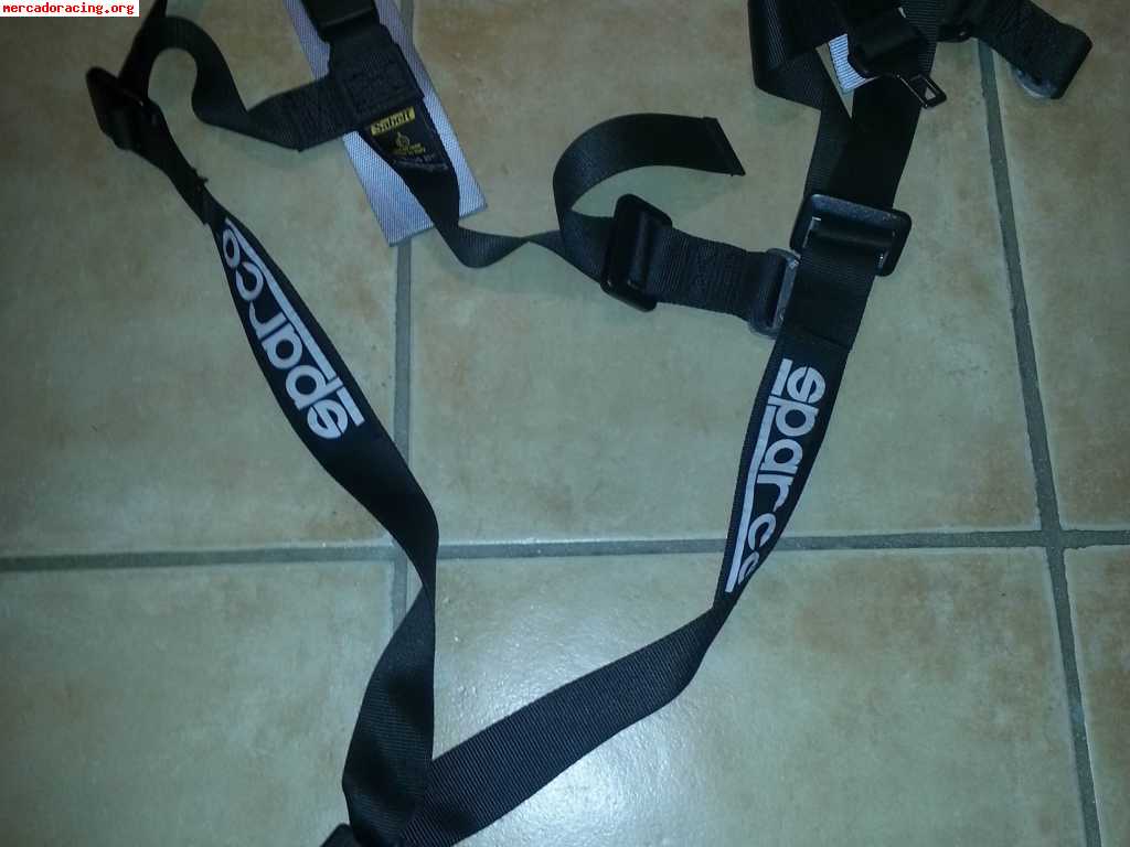 Arnes sparco 3 puntos