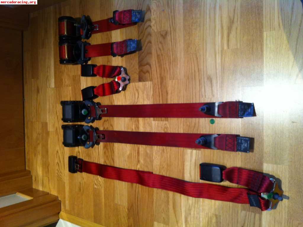Cinturones rojos originales y homologados de ford
