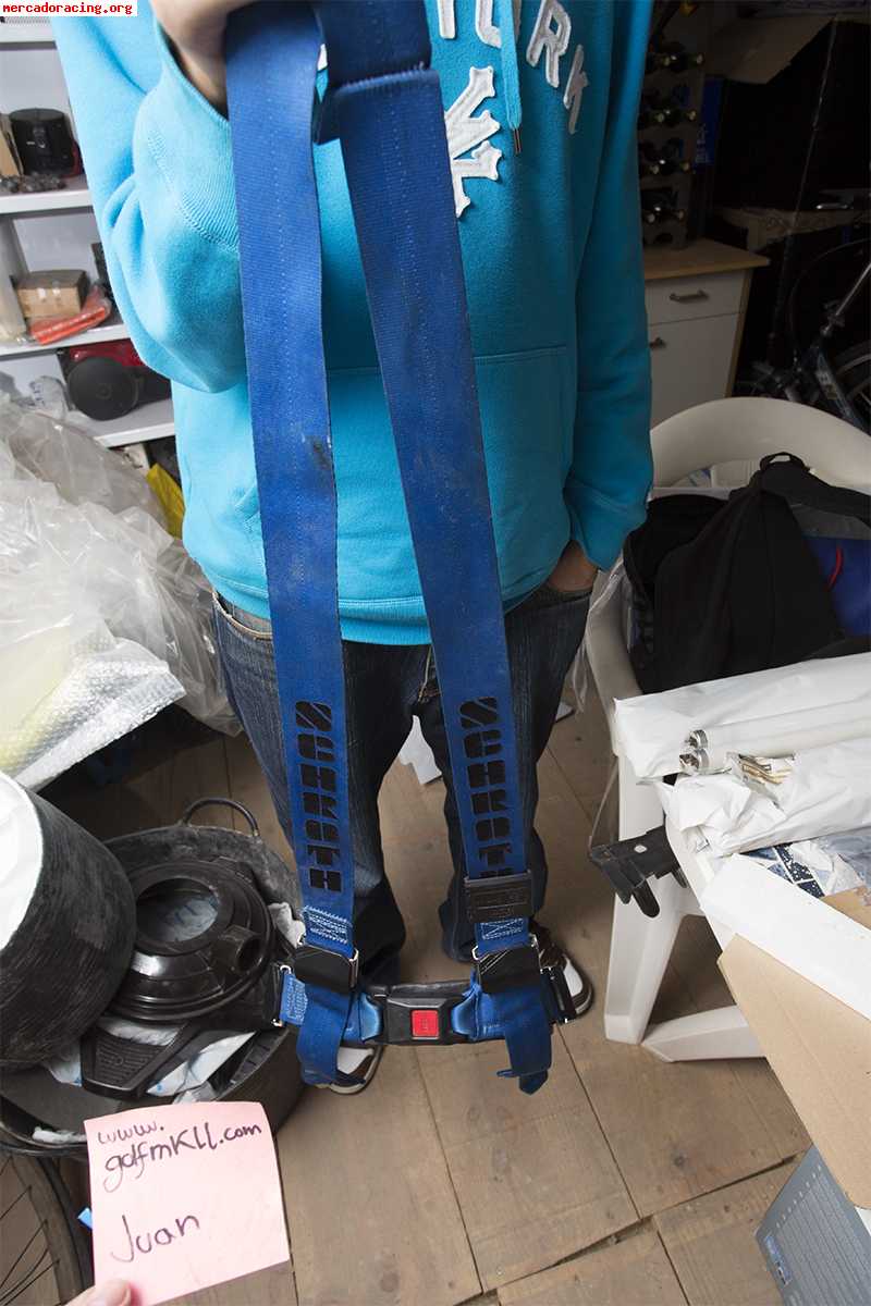 Arneses schroth azules,   pretensores   fundas de regalo
