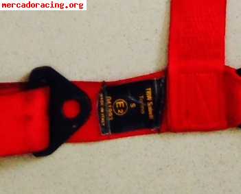Arnes calle omp  rojo