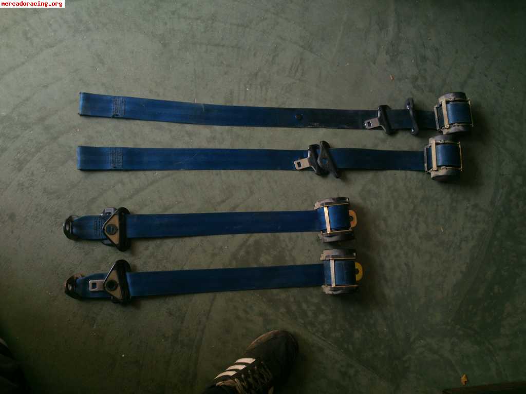 Cinturones azules para psa