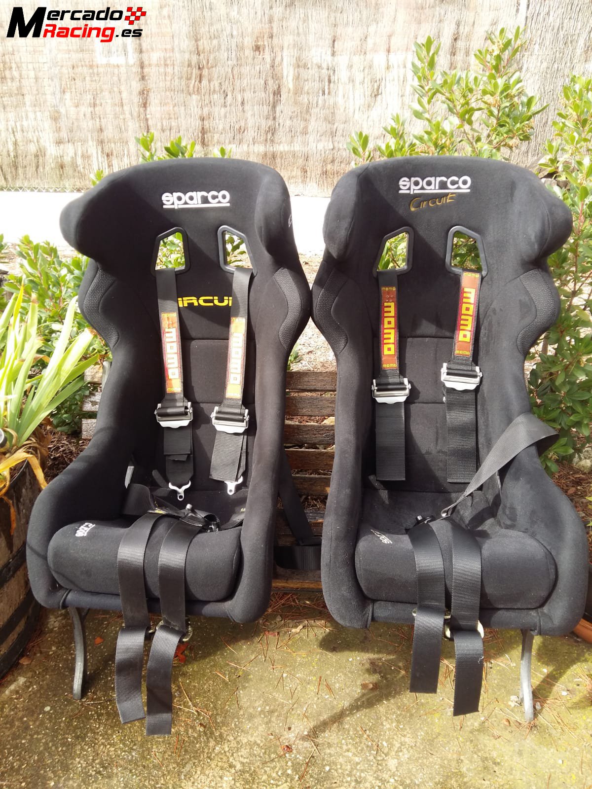 Pareja baquet sparco circuit