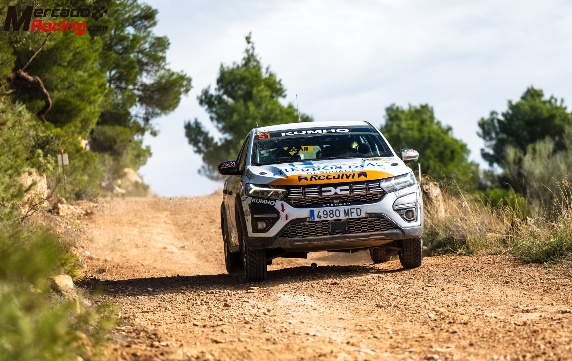 Dacia sandero eco cup