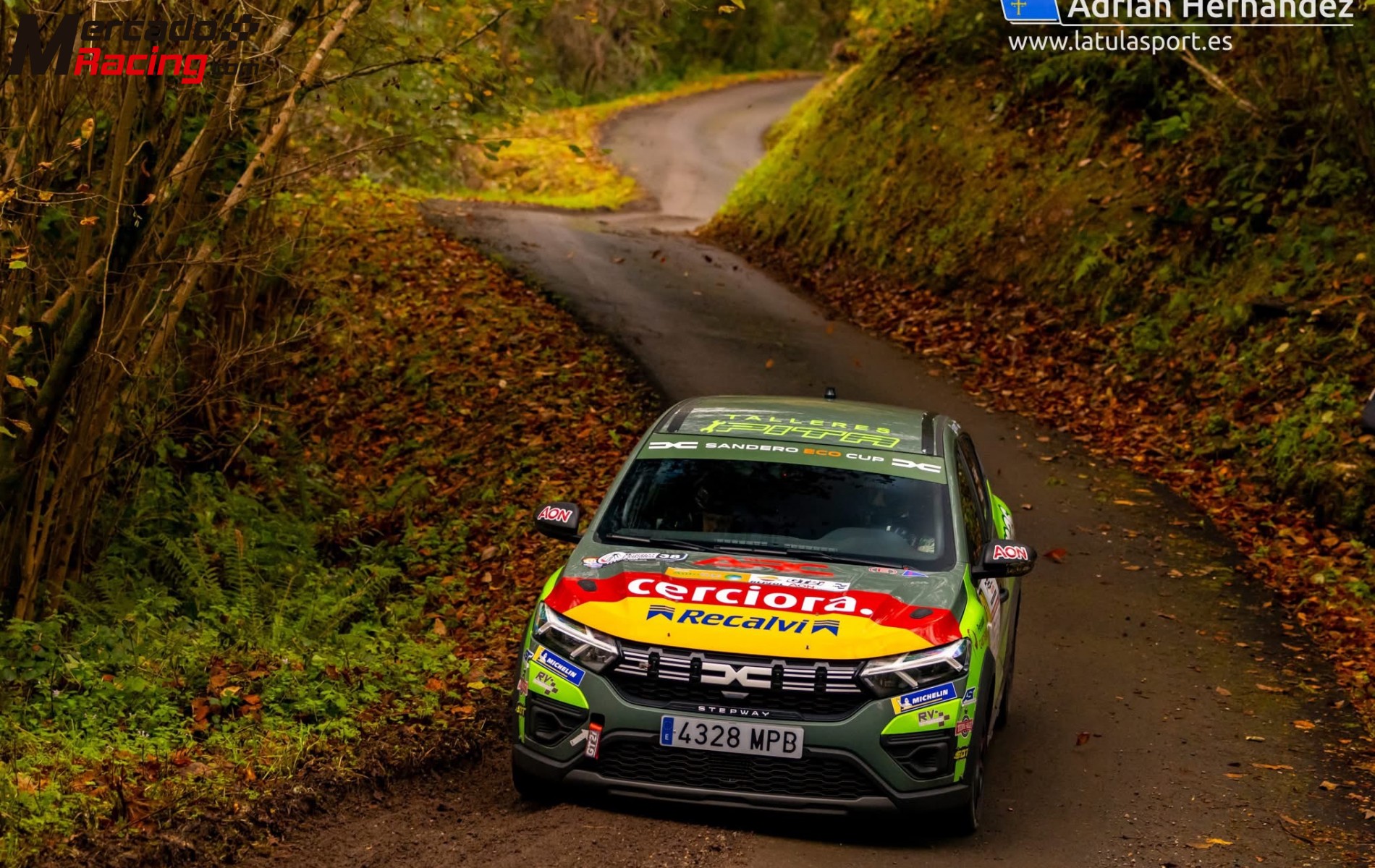 Sandero cup campeón copa nacional