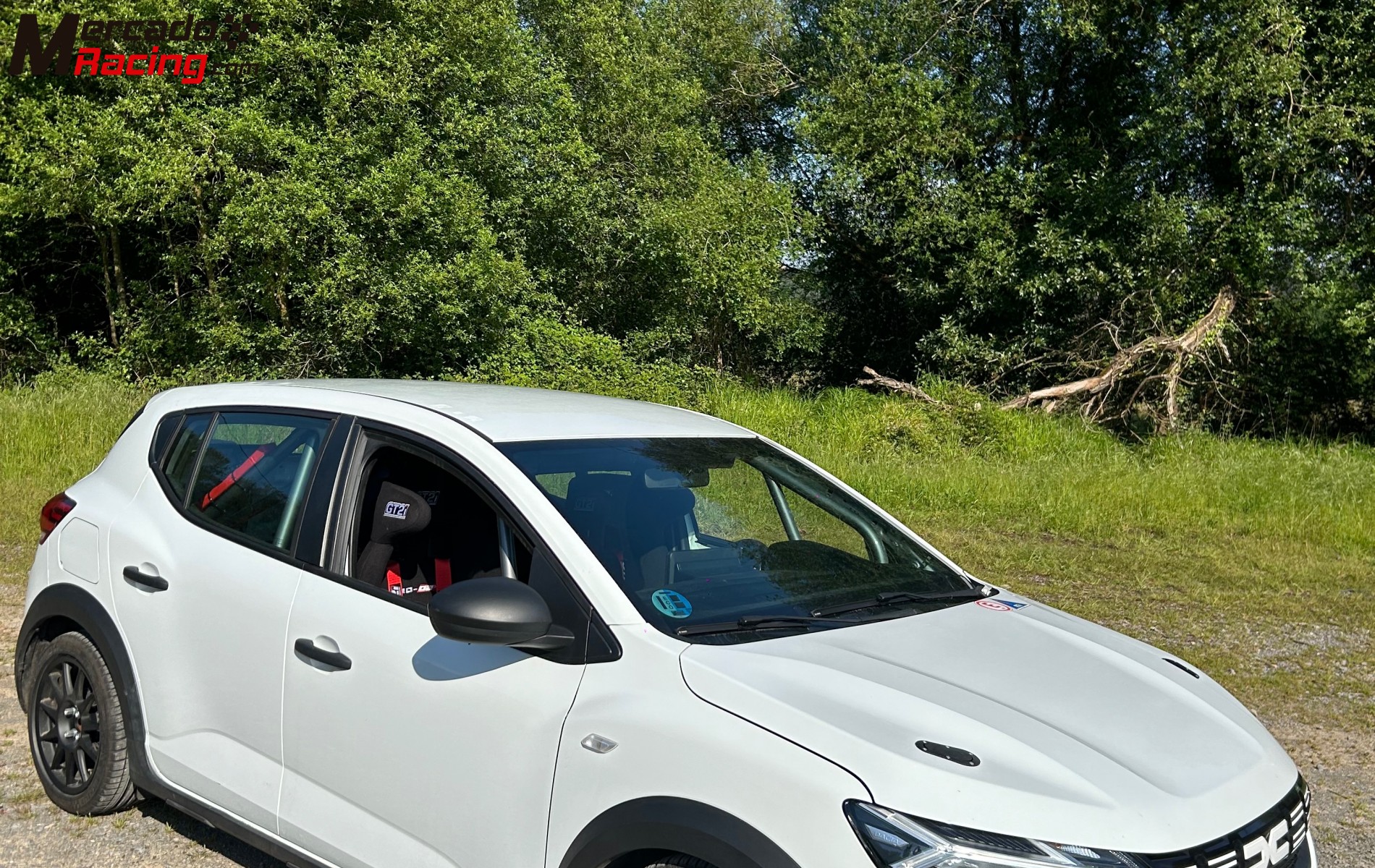 Dacia sandero eco cup