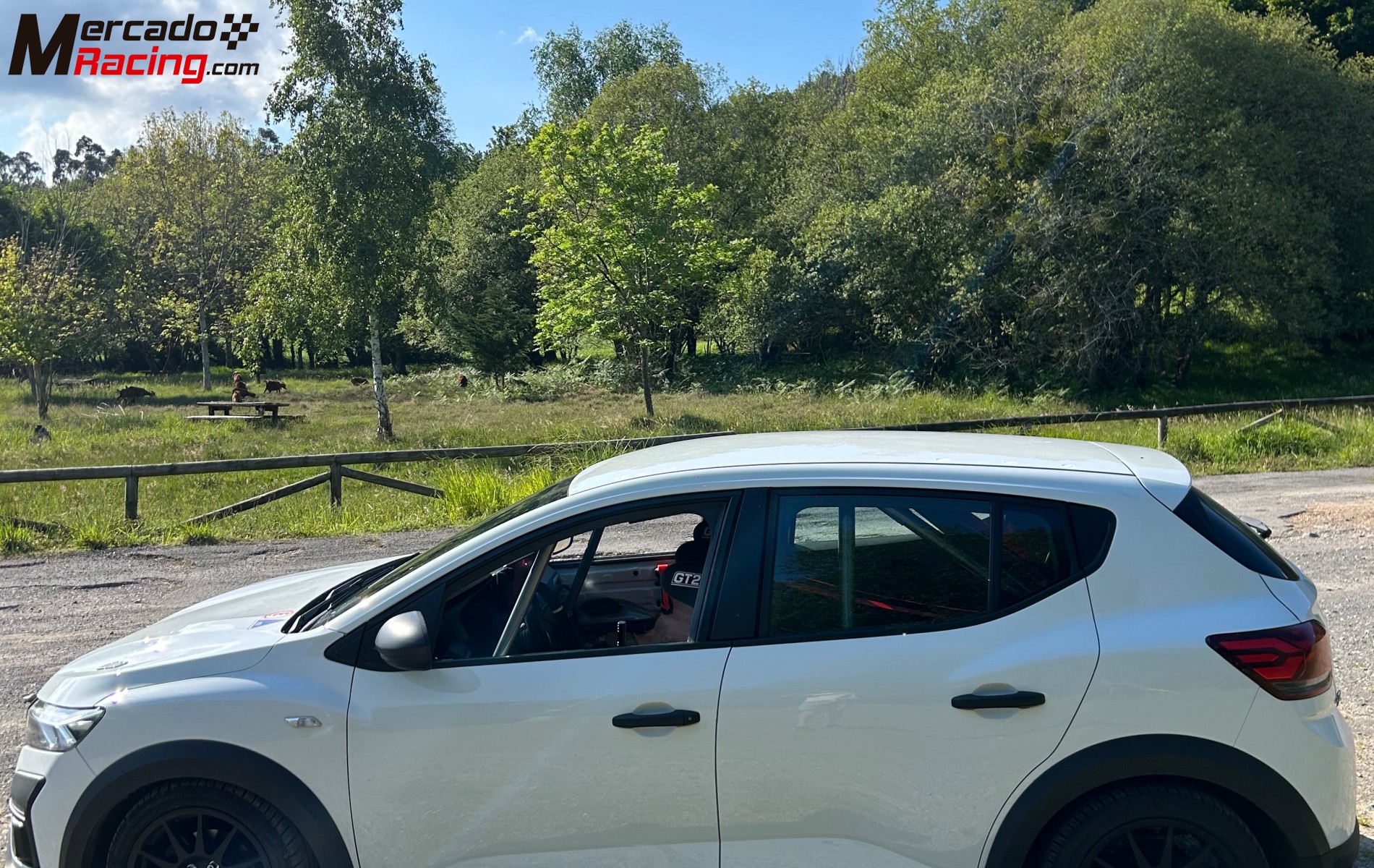 Dacia sandero eco cup