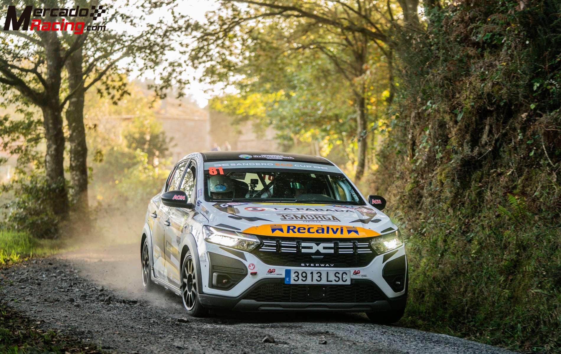 Dacia sandero eco cup – listo para competir