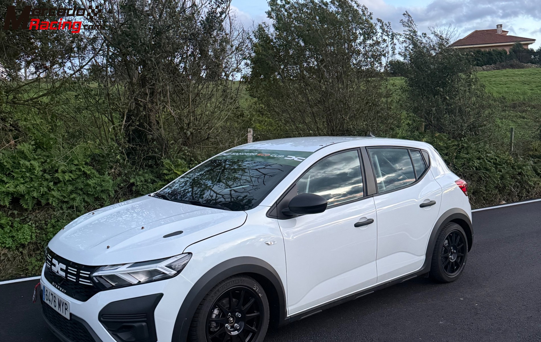 Dacia sandero rally 2025