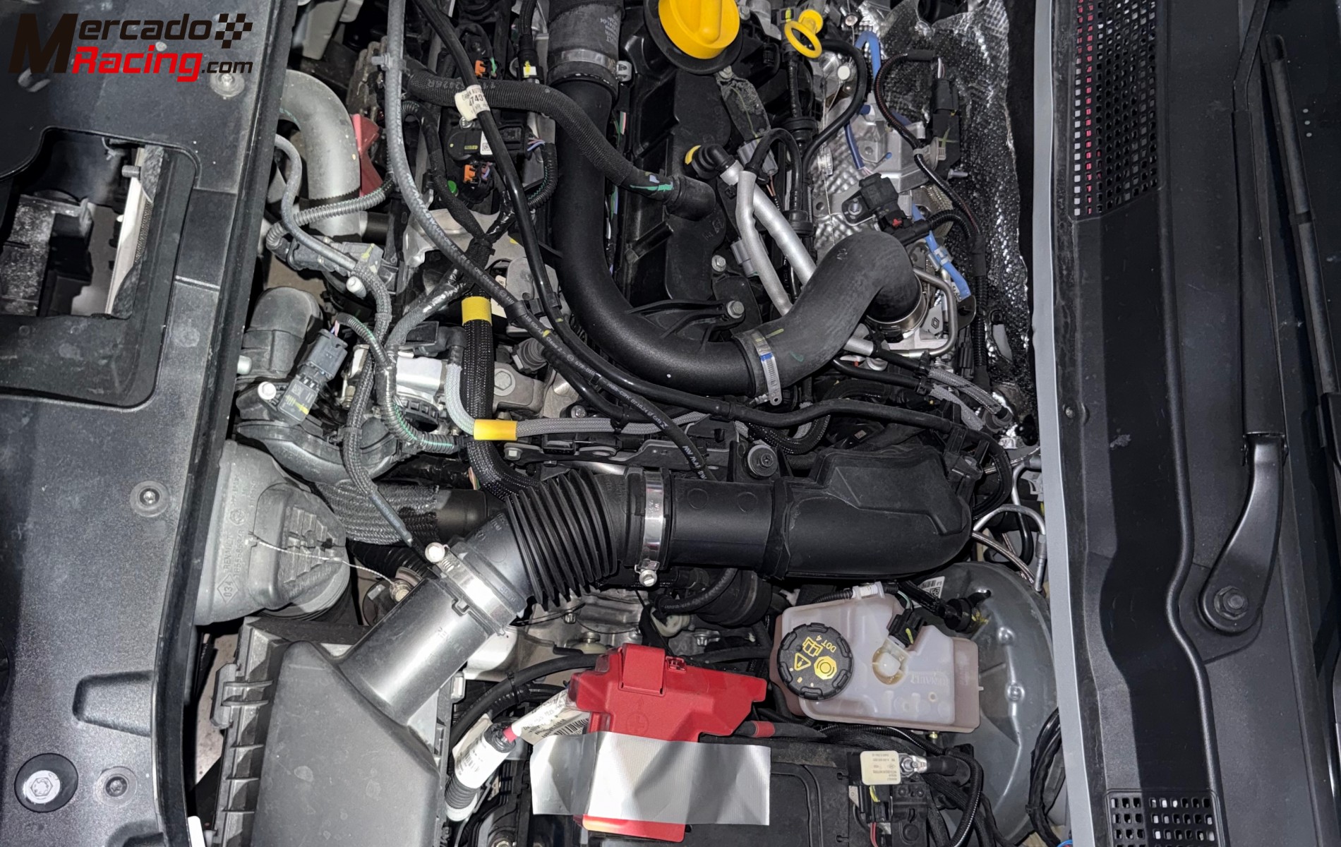 Dacia sandero rally 2025