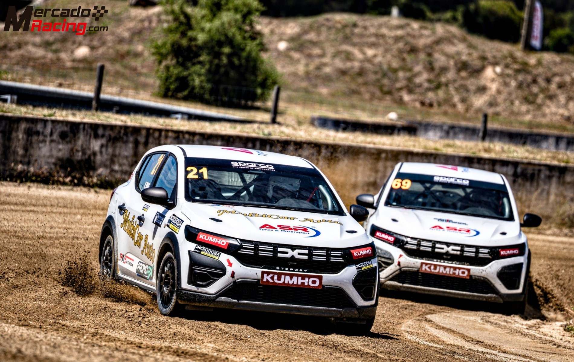 Sandero eco cup