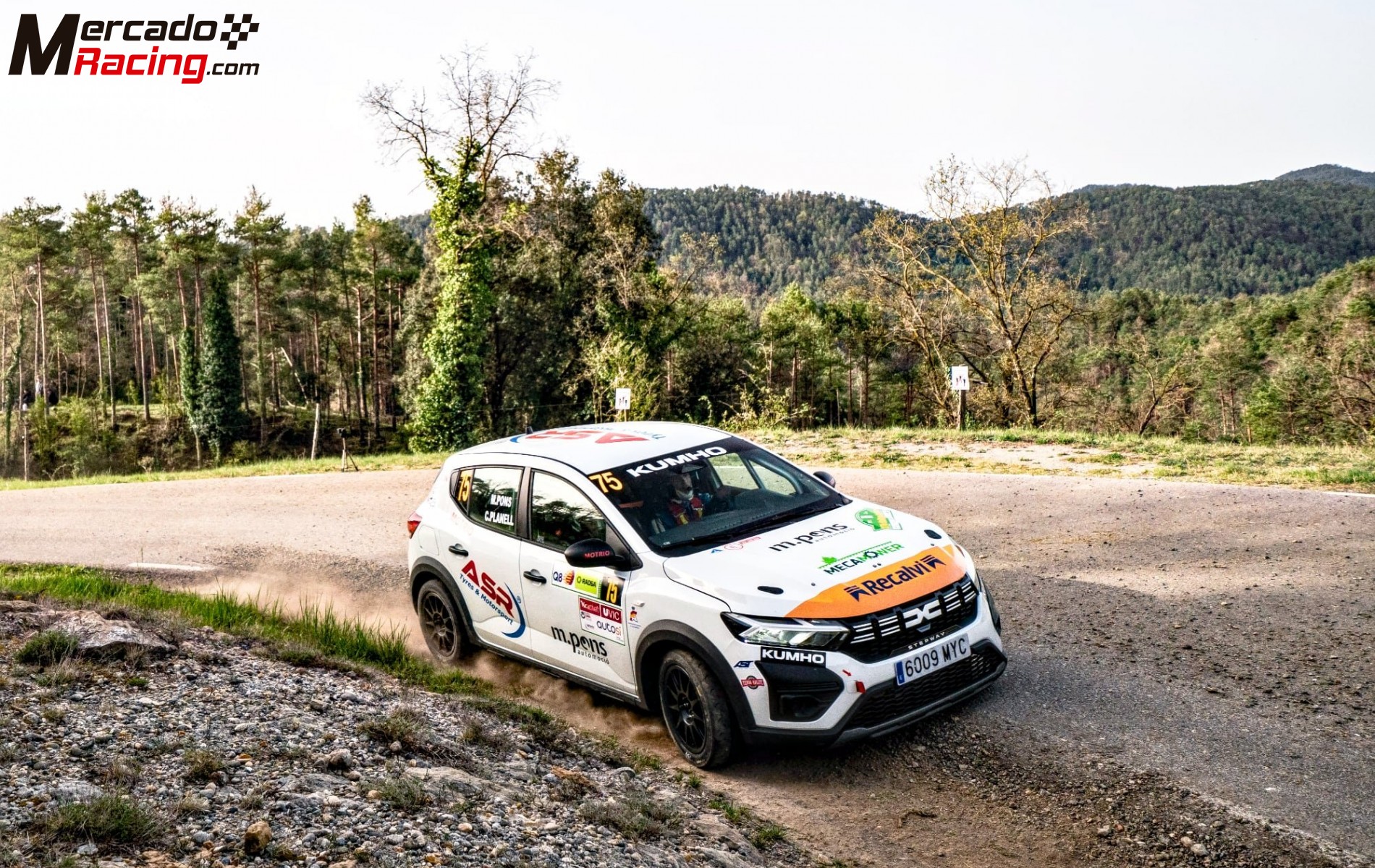 Sandero eco cup