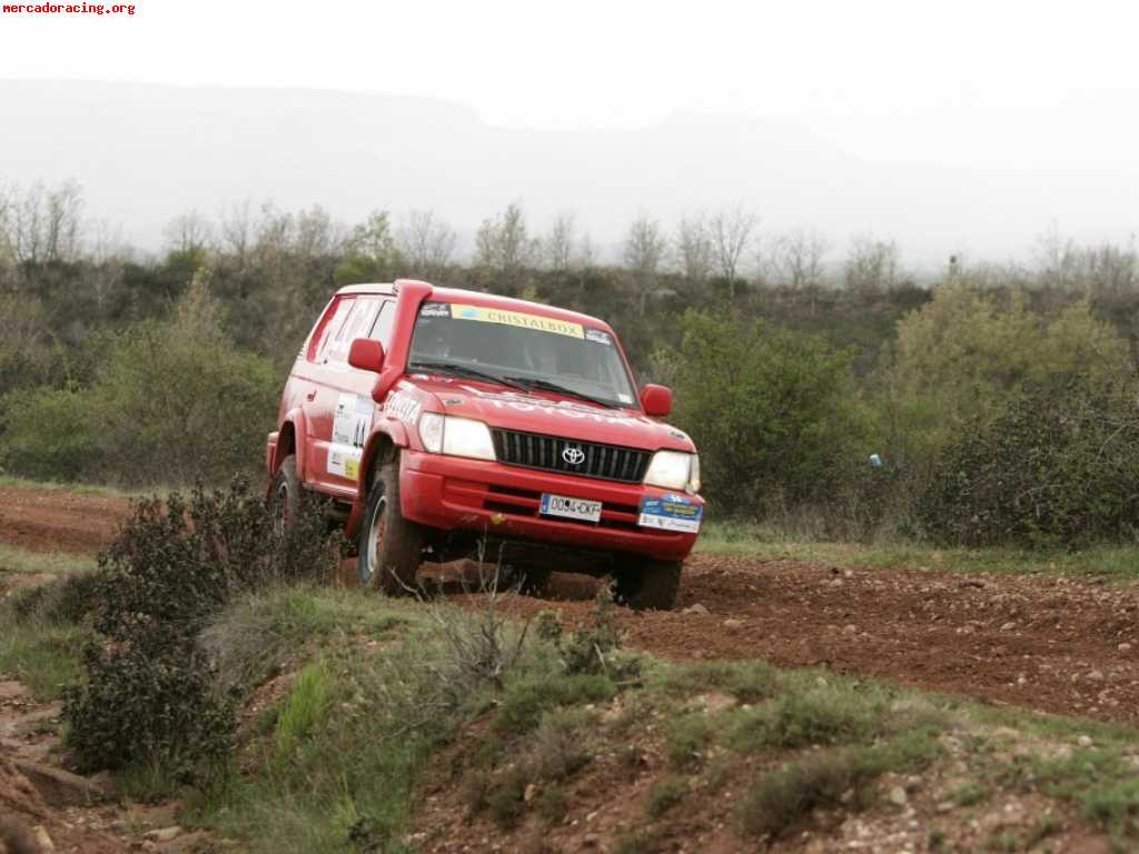 Copiloto libre para rallye de españa historico 2010