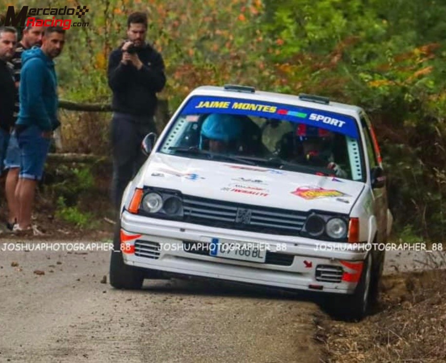 Copiloto disponible asturias 2025.