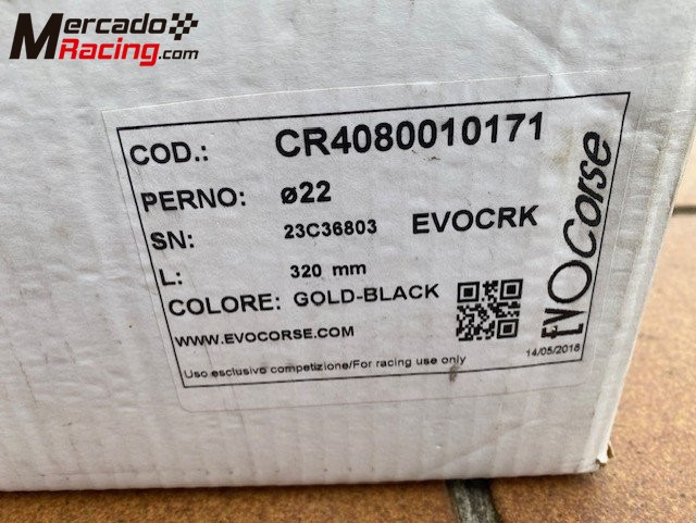 Gato evo corse nuevo a estrenar