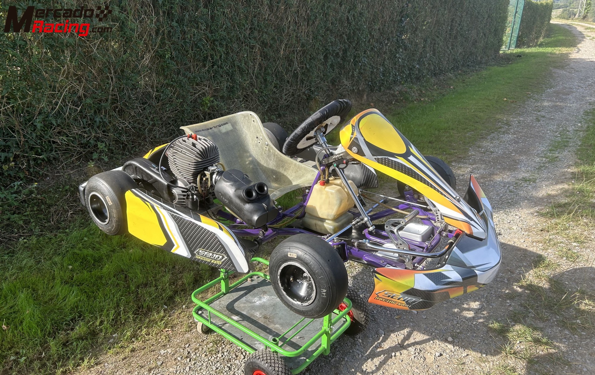 Kart iame