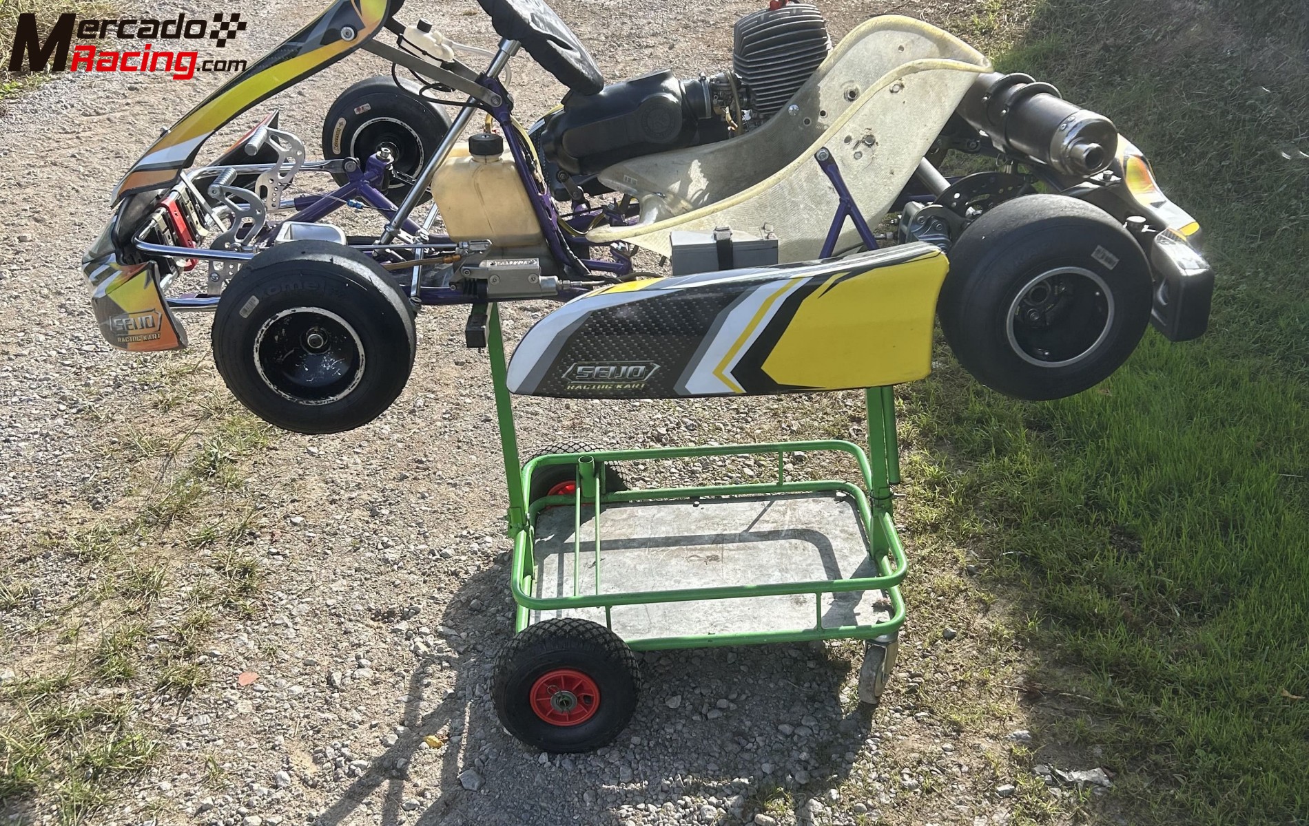 Kart iame