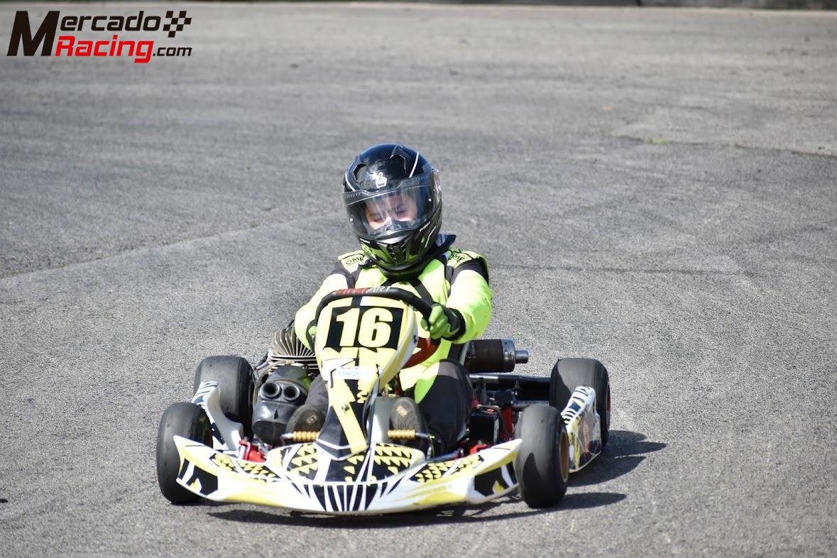 Birel puma 85 