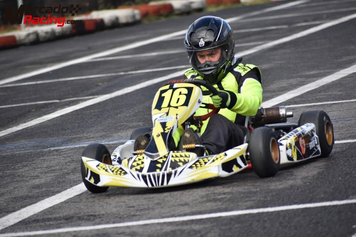 Birel puma 85 