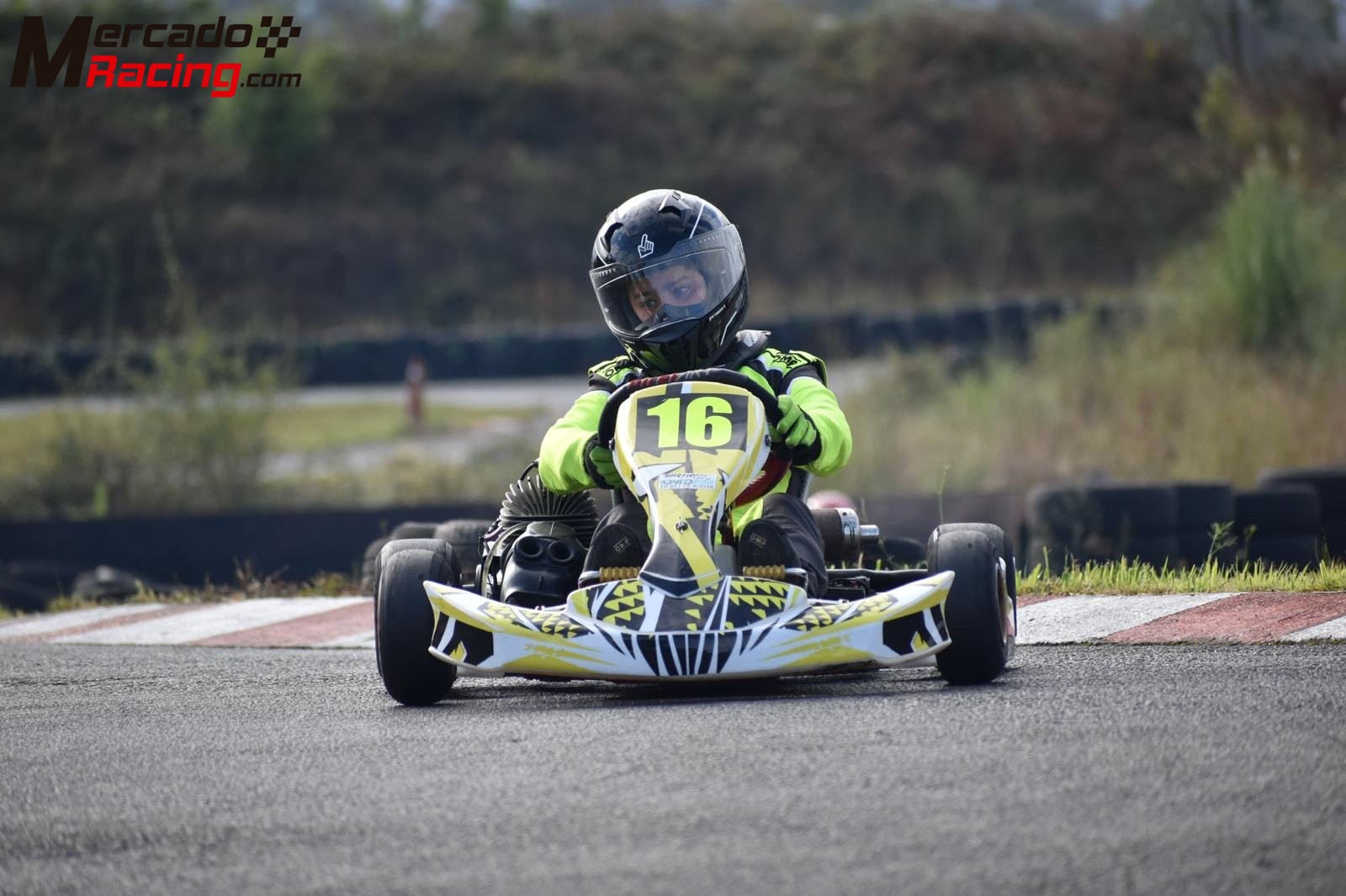 Birel puma 85 