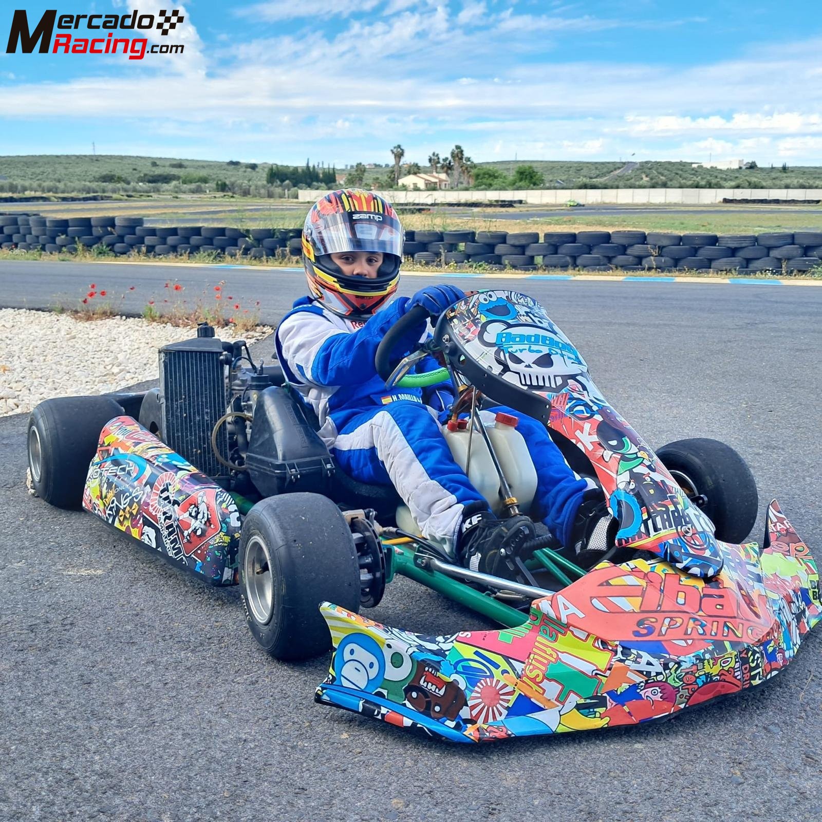 Tony kart rotax max fr 125