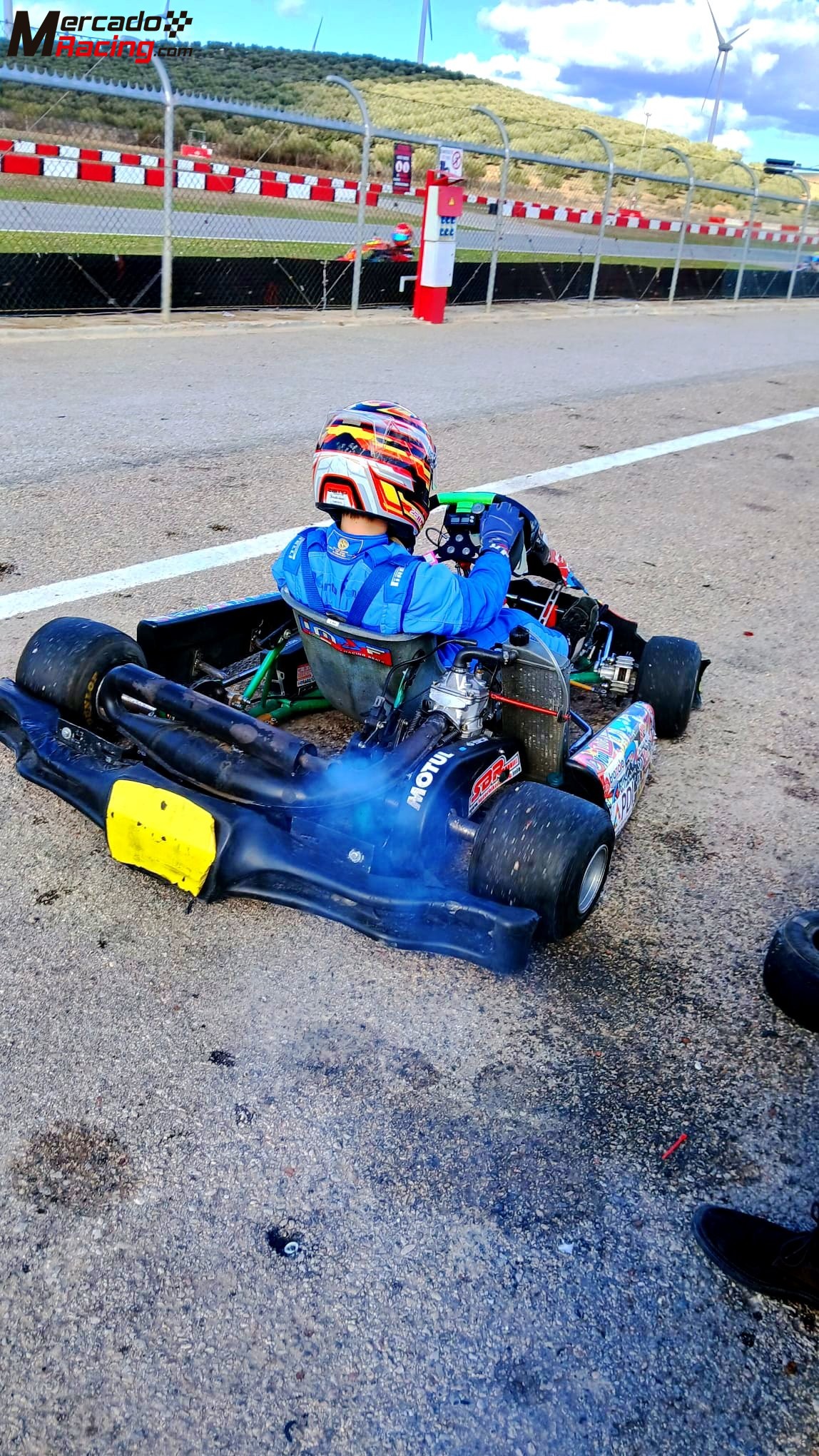 Tony kart rotax max fr 125