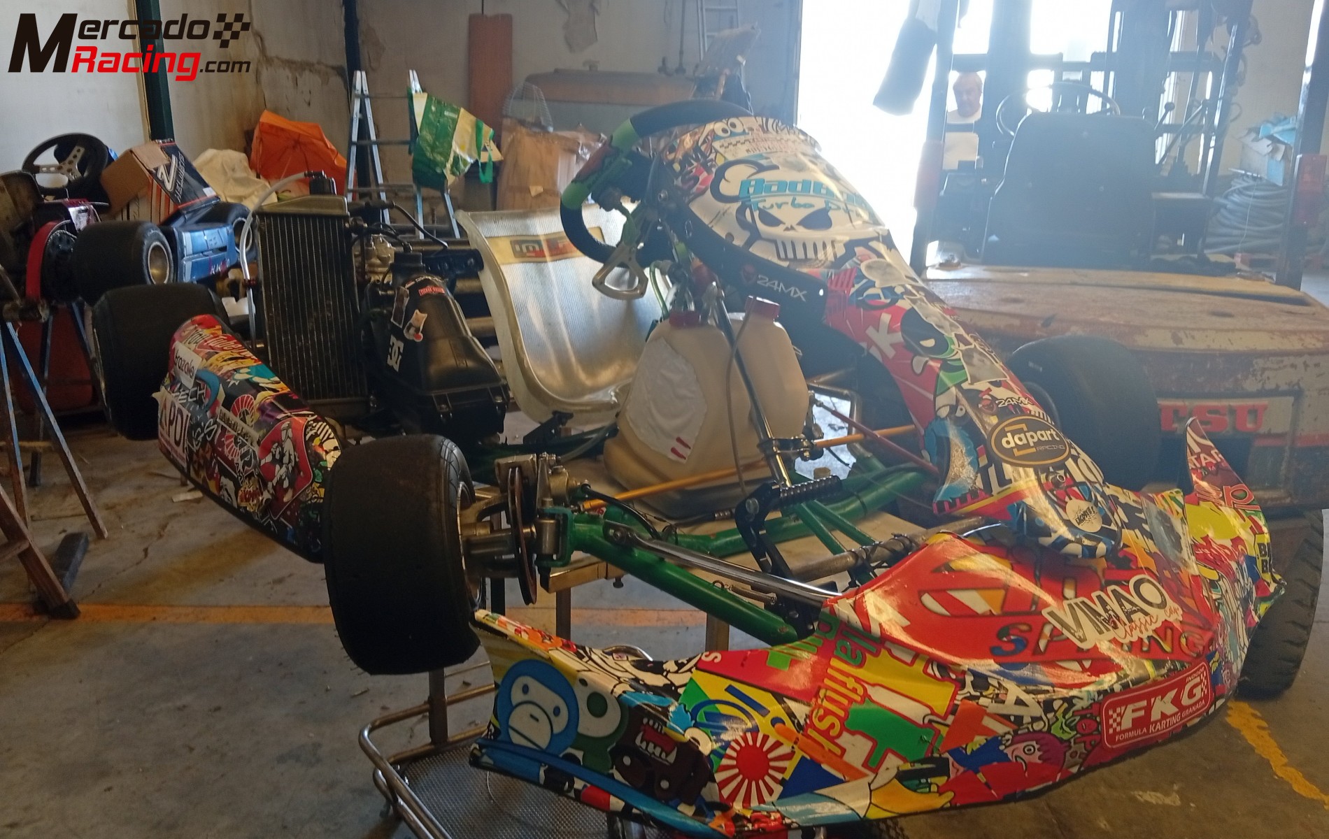 Tony kart rotax max fr 125