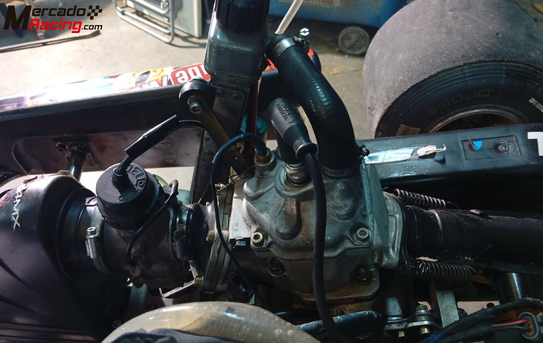 Tony kart rotax max fr 125