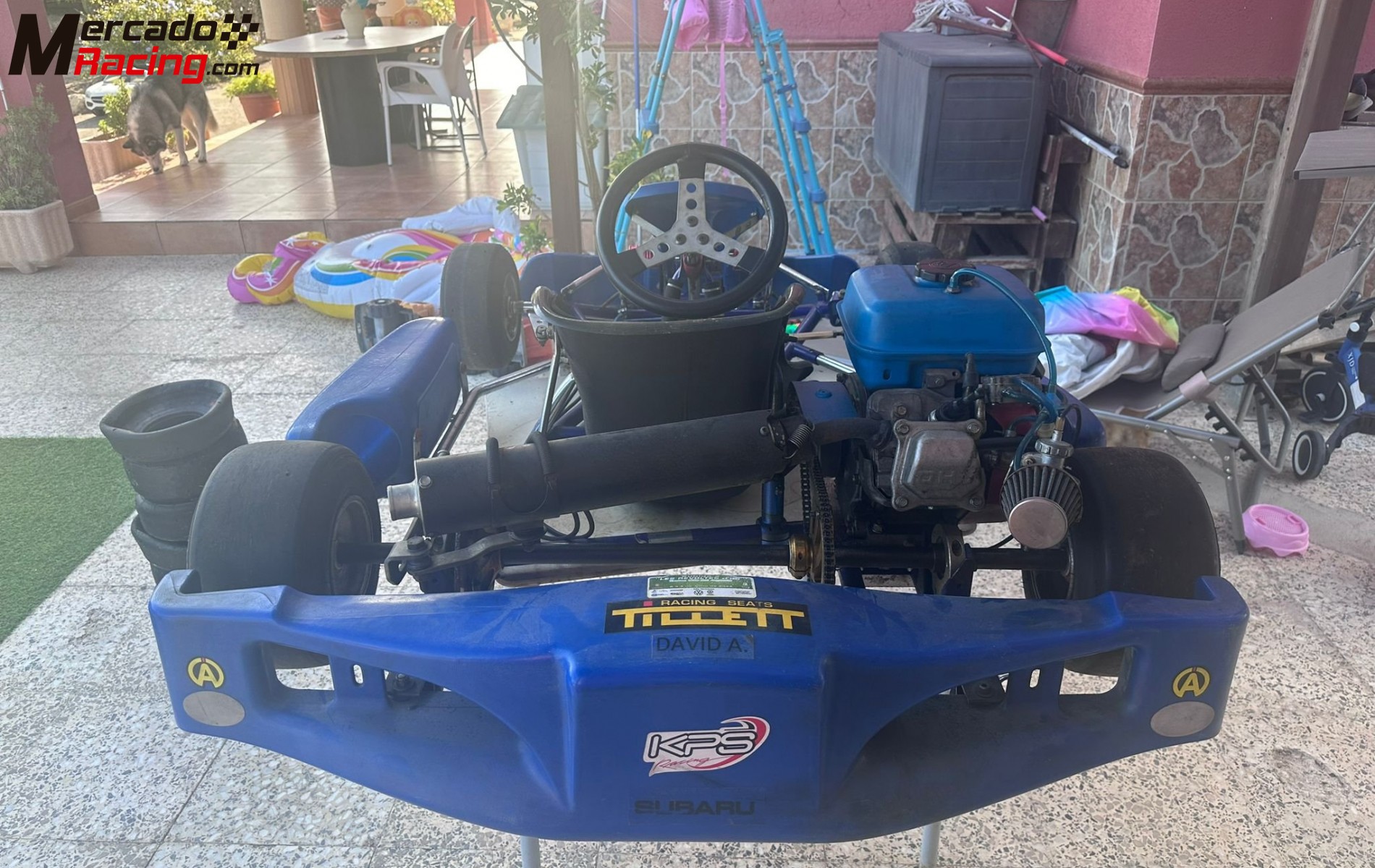 Kart debutant enfants 4t honda 200cc 