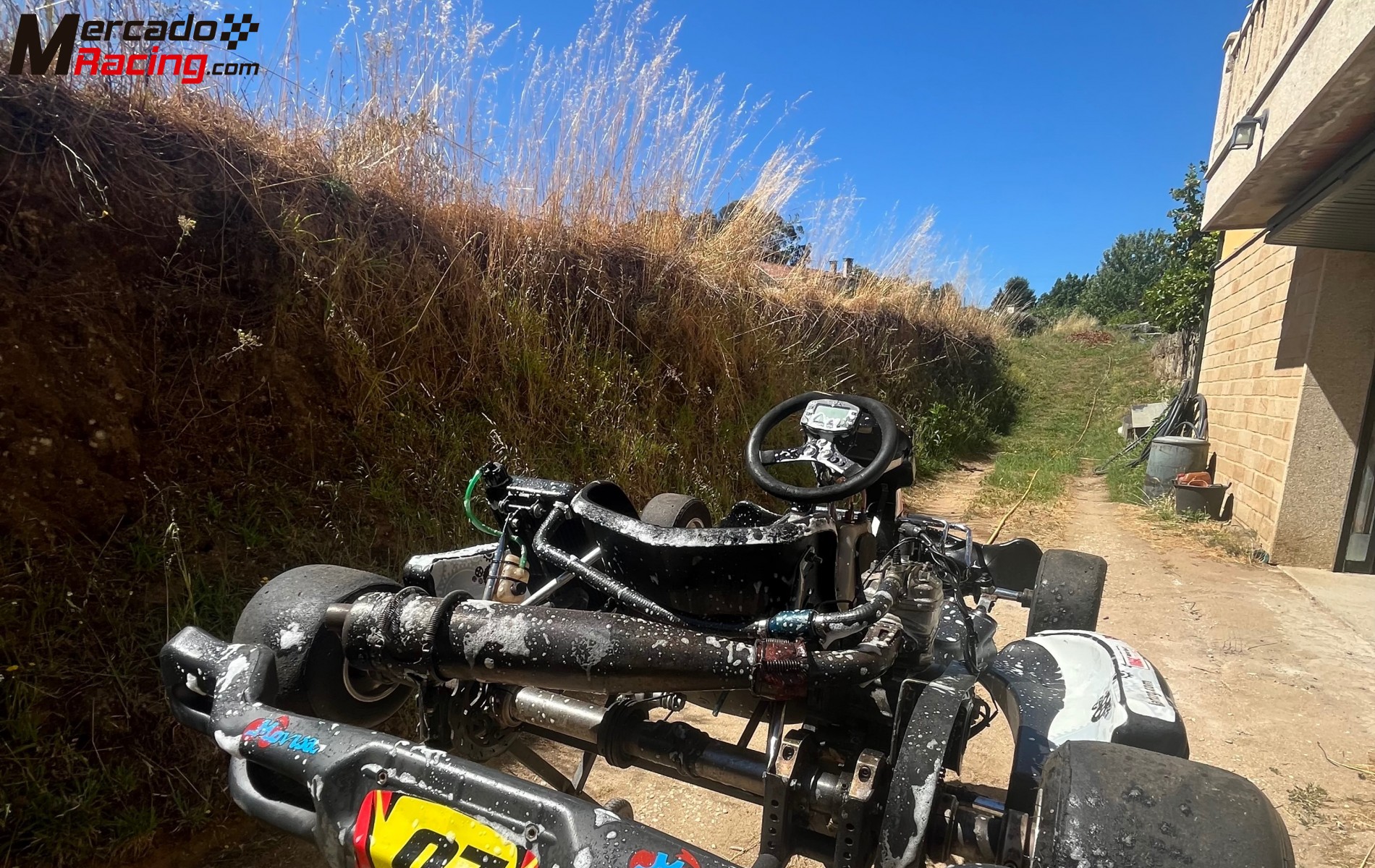 Crg iame x30 125cc
