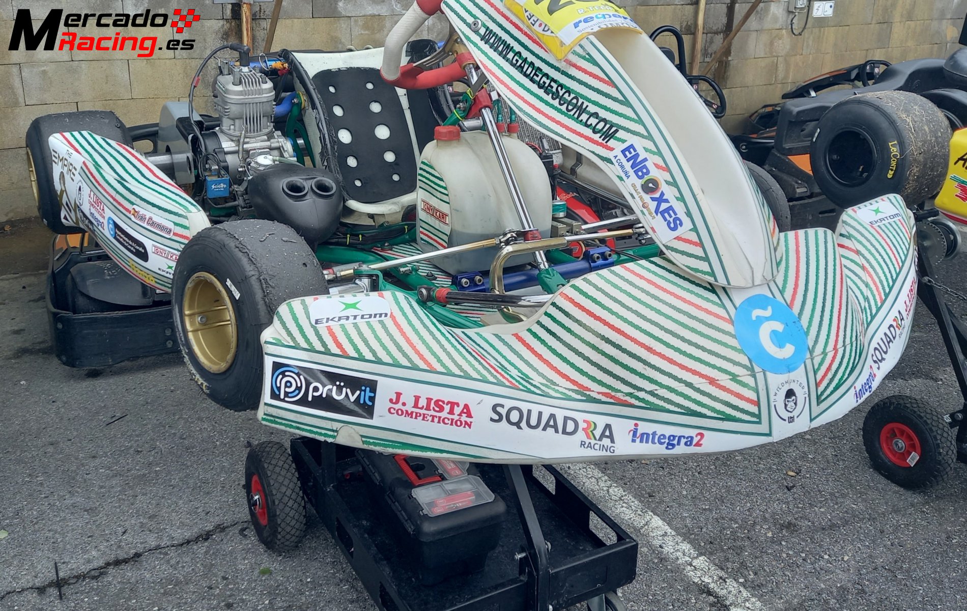 Chasis tony kart 401r junior/senior campeón gallego 2021