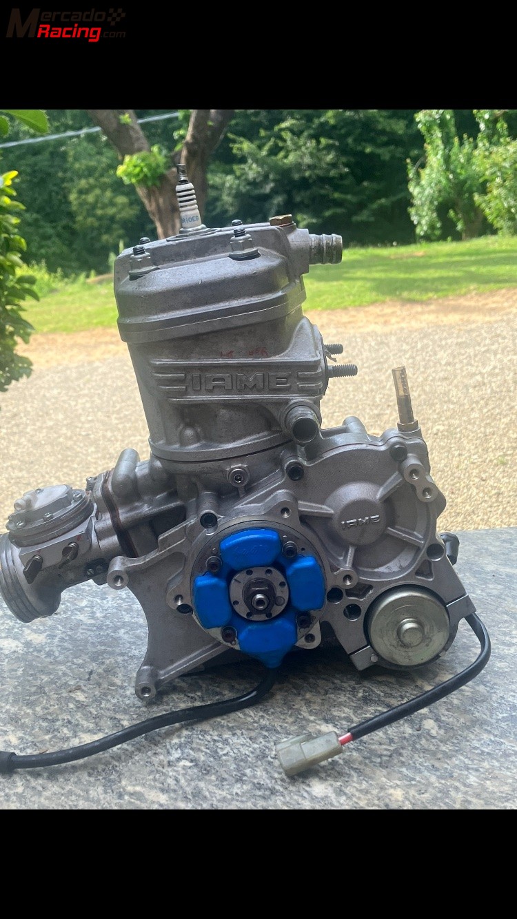 Iame x30 - 2 motores 