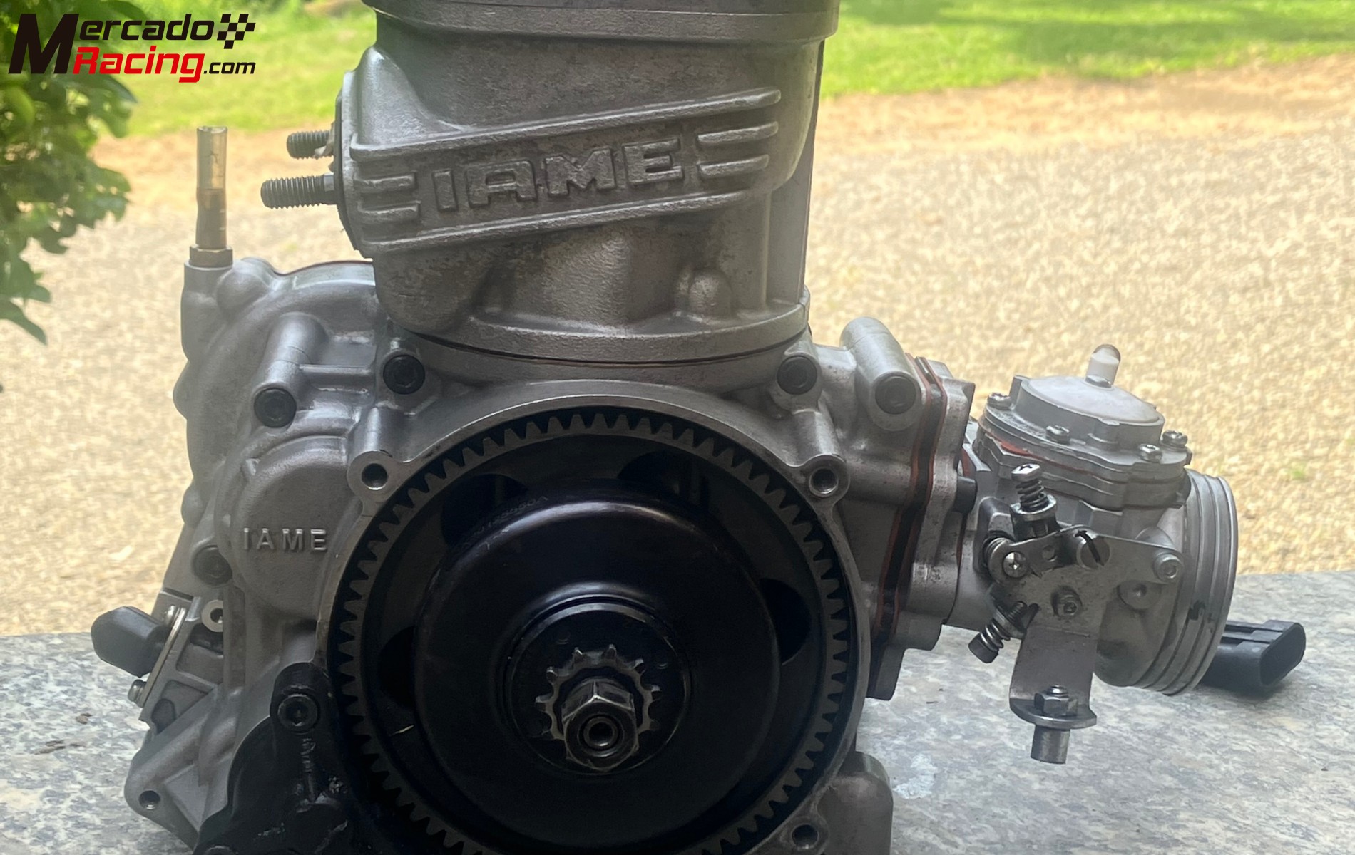 Iame x30 - 2 motores 