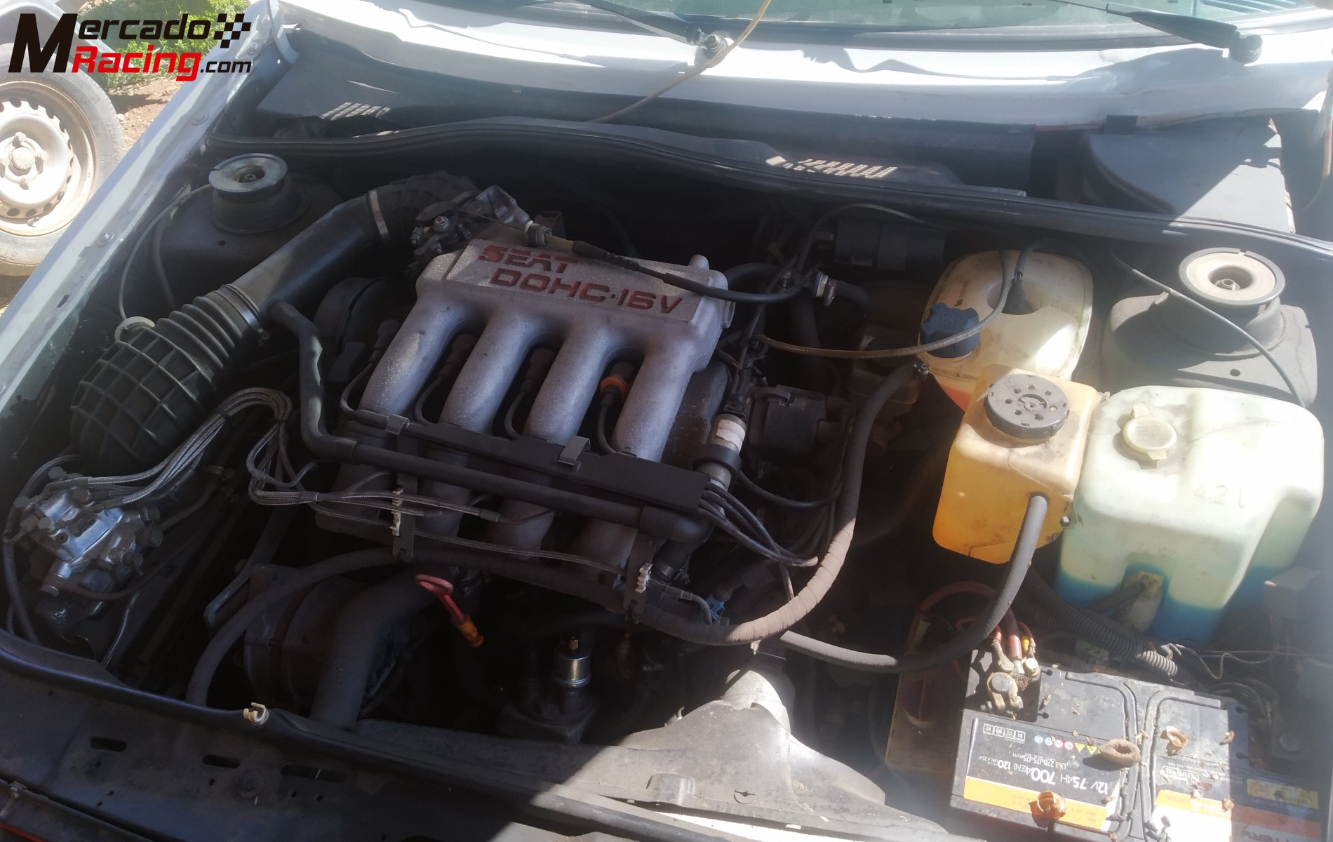 Golf 16v rallies 